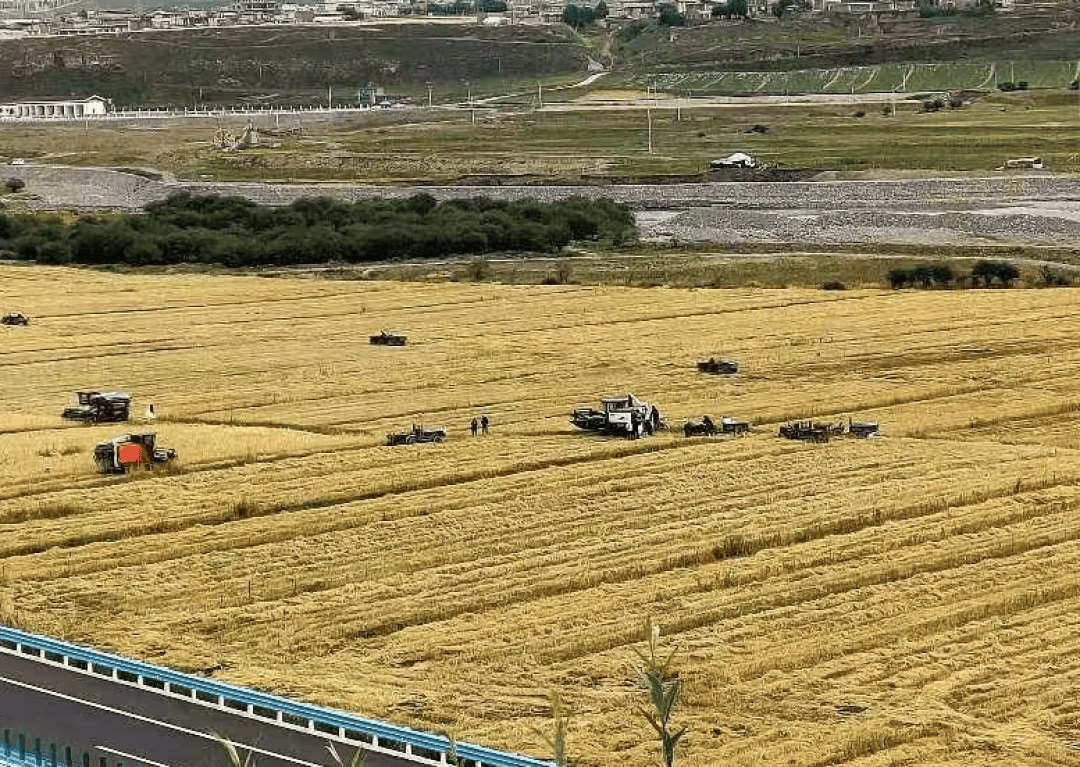 2025年中医药助力乡村振兴典型案例展示（二）：缺氧不缺精神